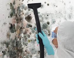 Best Real Estate Mold Inspection  in Gary, IN